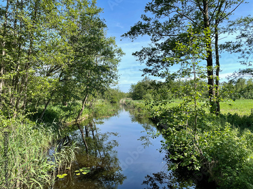 A canal  around Kalenberg at the Weerribben-Wieden photo
