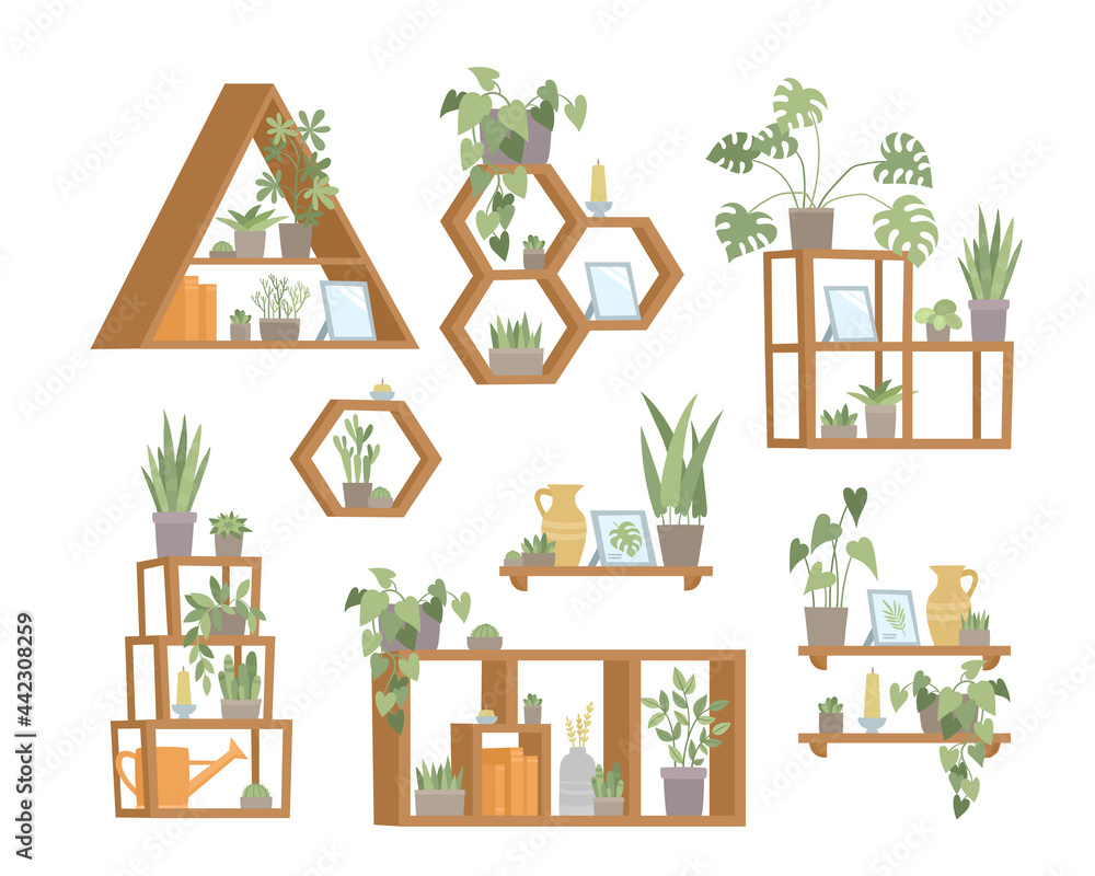 Vector set of trendy flat shelf with plants in pots