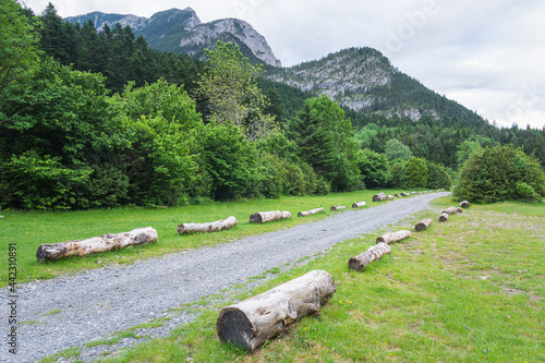 camping landscape of senarta in the plan of senarta, Benasque