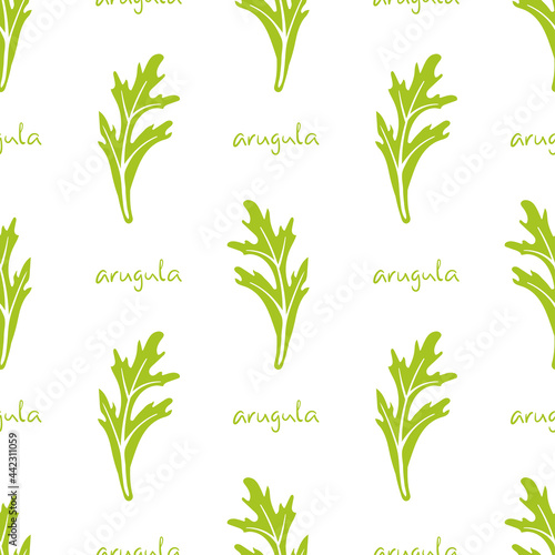 Seamless pattern with arugula, rocket salad. Colorful paper cut culinary herbs isolated on white background. Doodle hand drawn vector illustration