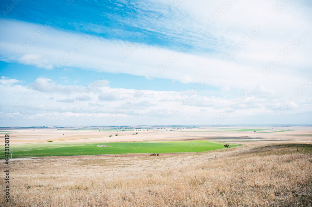 Obraz premium Landscape of a green field with other dry fields with a blue sky. Image with copy space