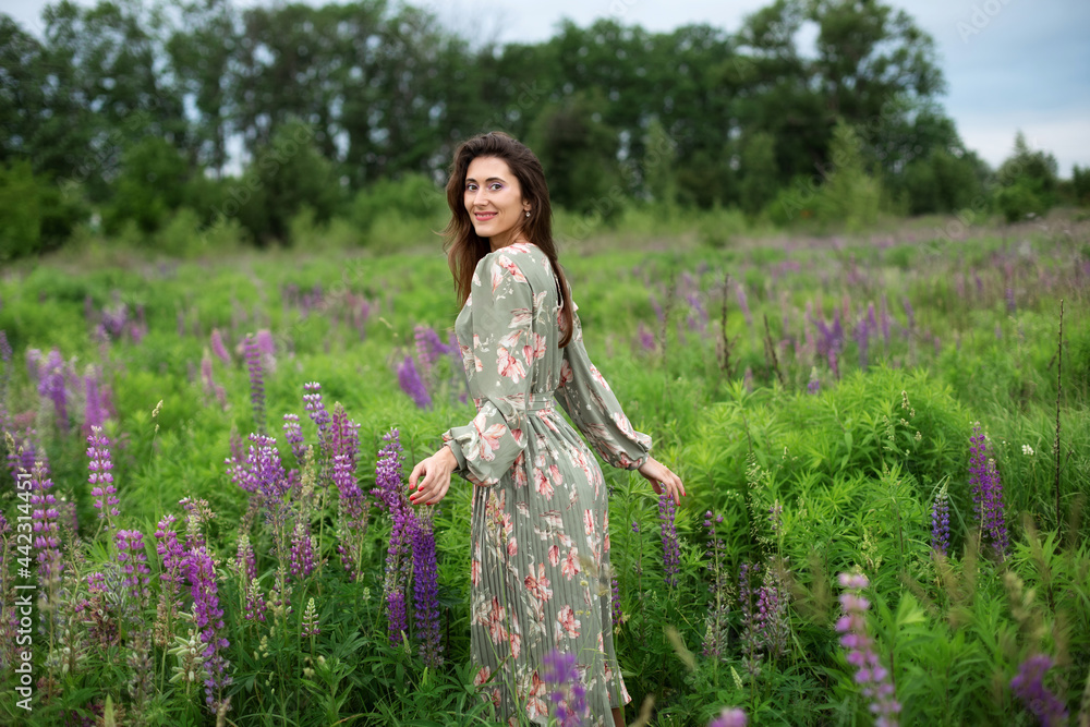 Girl walking on field on summer with wildflowers. Woman in long dress stands in blooming purple lupine field. Beautiful girl with wild flowers. Summertime. Summer vacation. Freedom and purity concept. Girl walking on field on summer with wildflowers. Woman in long dress stands in blooming purple lupine field. Beautiful girl with wild flowers. Summertime. Summer vacation. Freedom and purity concept.