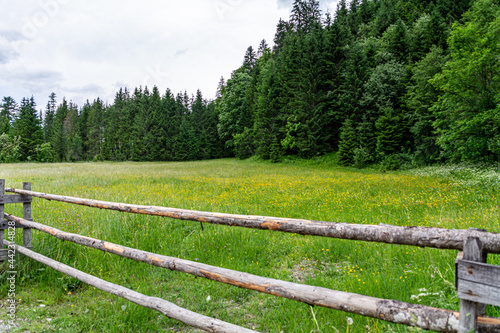 Wooden fence to a green alpine meadow in Salzburg, Austria