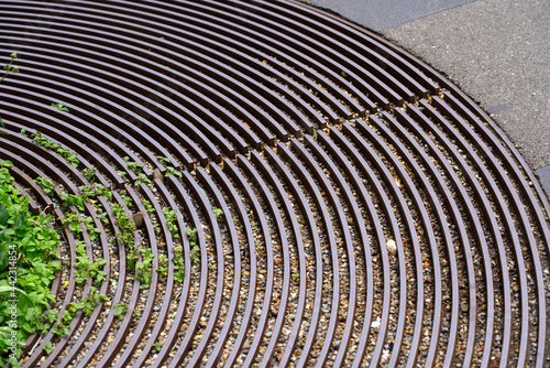 Iron grid at bottom of tree at tram station for protection and opening for rain water. Photo taken June 28th  2021  Zurich  Switzerland.