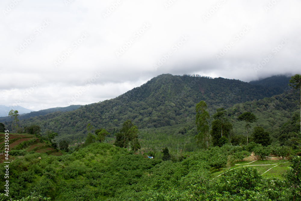 Mountain view in tropical area with cloudy weather