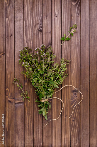 Flowering branches of fresh thyme