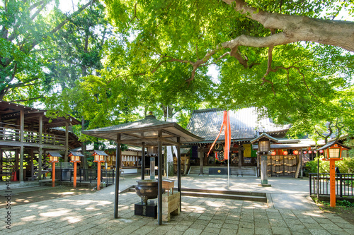 Wallpaper Mural 東京世田谷 等々力不動尊 本堂 Torontodigital.ca