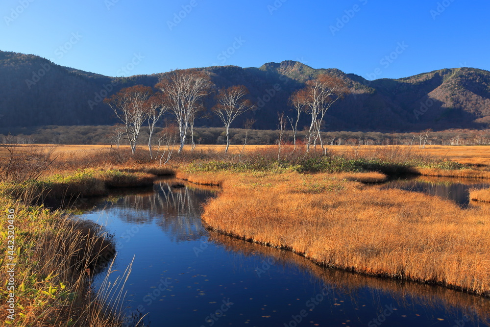Mt.Shibutsu, Oze Marsh, Mt.Hiuchi 秋の至仏山、尾瀬ヶ原、燧ケ岳トレッキング