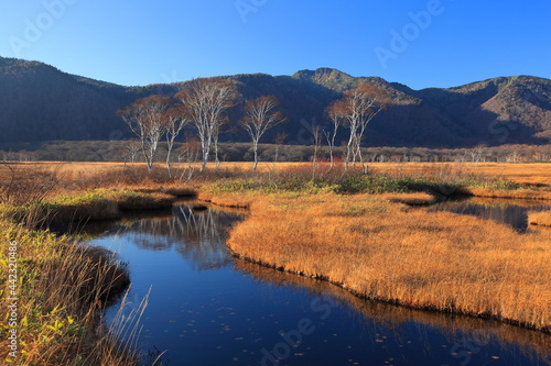 Mt.Shibutsu, Oze Marsh, Mt.Hiuchi 秋の至仏山、尾瀬ヶ原、燧ケ岳トレッキング