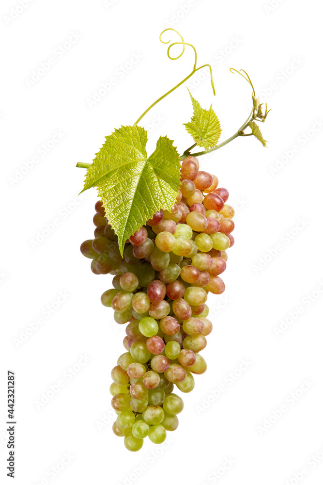 Fototapeta premium Ripe bunch of grapes with leaves isolated on white. Sultana grape.