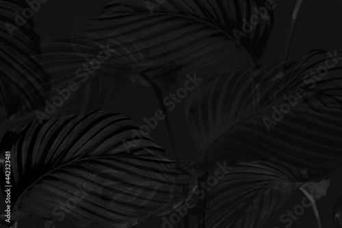 Dark calathea leaves background design resource