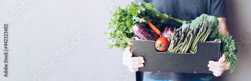 Fresh organic greens and vegetables delivery photo