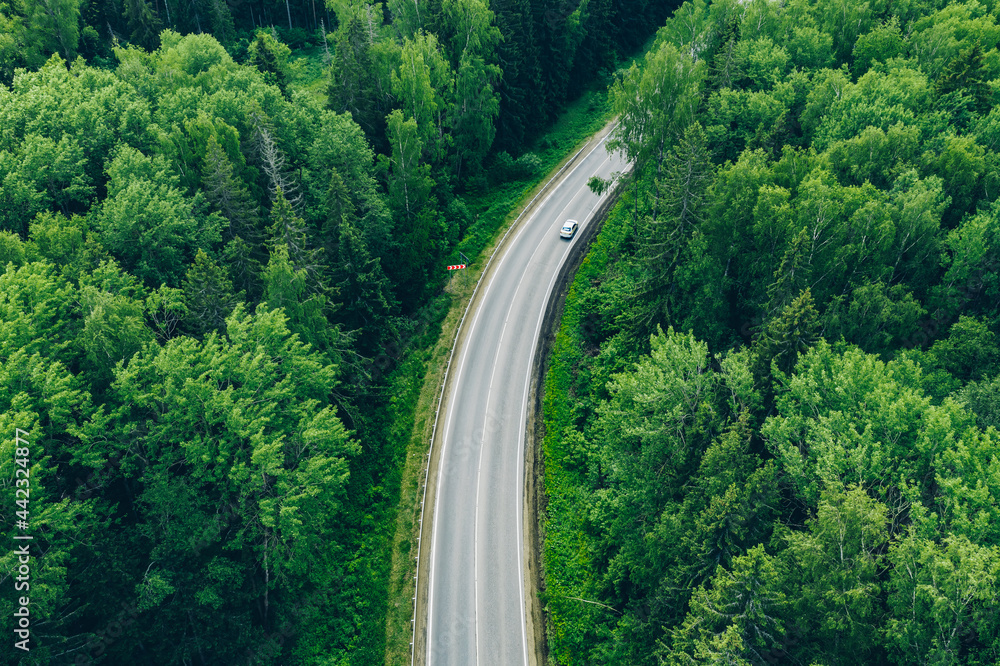 Fototapeta premium Aerial view of curved country road with cars and green summer woods.