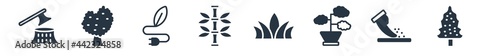 nature filled icons. glyph vector icons such as black ash tree, sow, bonsai tree, agave, bamboo plant from japan, eco energy source, basswood tree sign isolated on white background.