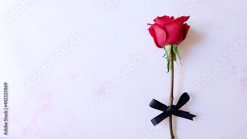 A single red rose, with a black ribbon bow tied around its stem. With copy space on the left.
