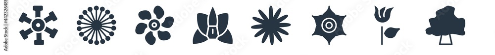 nature filled icons. glyph vector icons such as birch, knapweed, clematis, gerbera, orchid, jasmine, dandelion sign isolated on white background. nature filled icons. glyph vector icons such as birch, knapweed, clematis, gerbera, orchid, jasmine, dandelion sign isolated on white background.