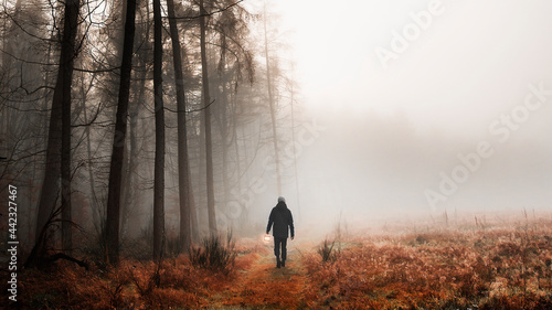 Man walking in a misty woods mobile phone wallpaper