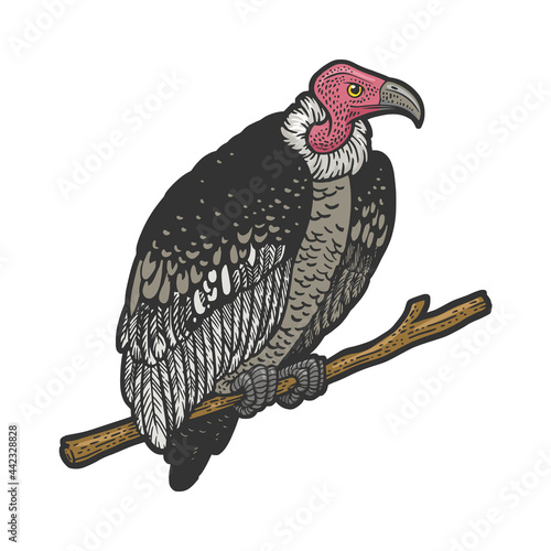 vulture griffin bird color line art sketch engraving vector illustration. T-shirt apparel print design. Scratch board imitation. Black and white hand drawn image.