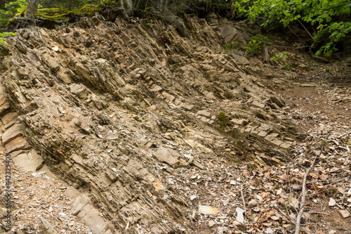 Fototapeta Naklejka Na Ścianę i Meble -  layers of carpathian flysch