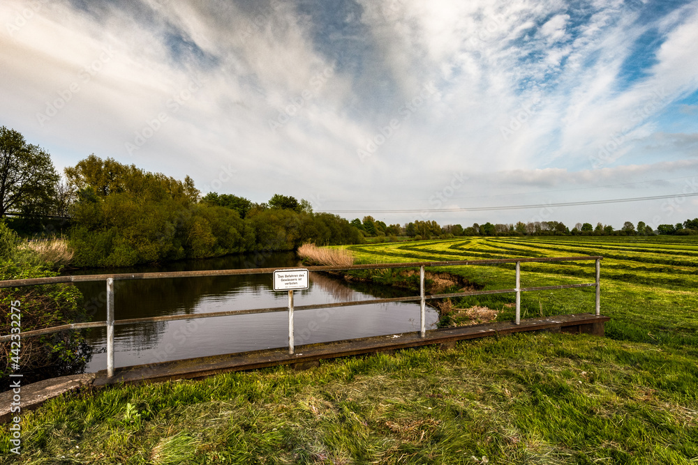 Obraz premium Maisparziergang am Hammedeich