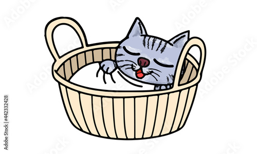 寝ている猫