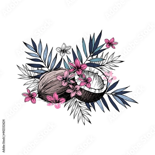 Image of coconut fruits, leaves and pink flowers. Artistic graphics. Colorful vector illustration.
