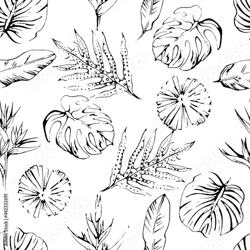 Graphic contour image of tropical leaves. Black on a white background. Seamless pattern.