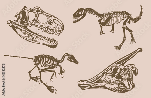 Graphical vintage  paleontological collection, hand-drawn dinosaurs  on sepia background