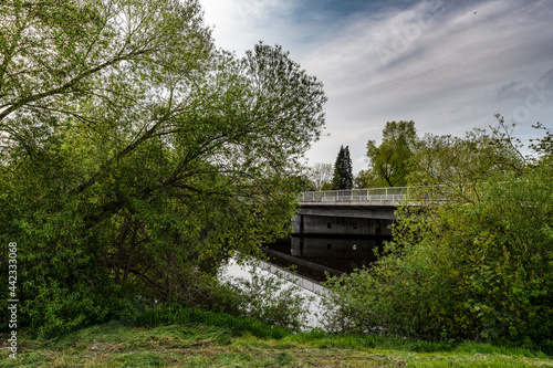 Maisparziergang am Hammedeich photo