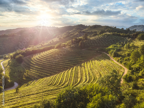 Aerial view of beautiful terraces countryside during sunlight. Montevecchia, Lecco, Italy