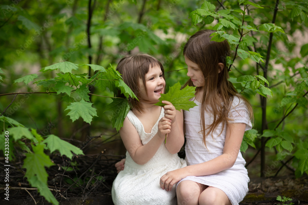 Cute girls kids girlfriends sit on logs among the foliage in the backyard, the concept of girlish friendship and secrets, childhood in summer