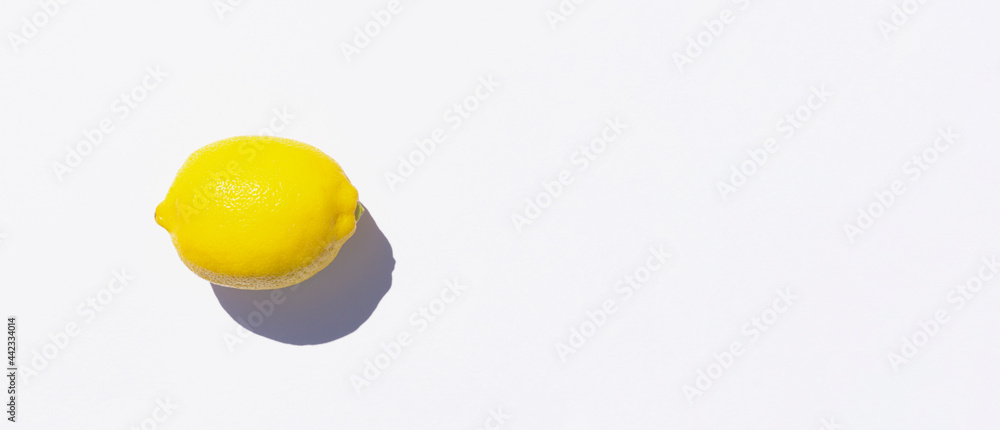 The lemon which bathed in sunlight of the summer. 夏の日差しを浴びたレモン The lemon which bathed in sunlight of the summer. 夏の日差しを浴びたレモン
