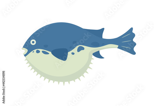 Fugu fish isolated on white background. Poisonous the puffer fish.  Vector illustration.