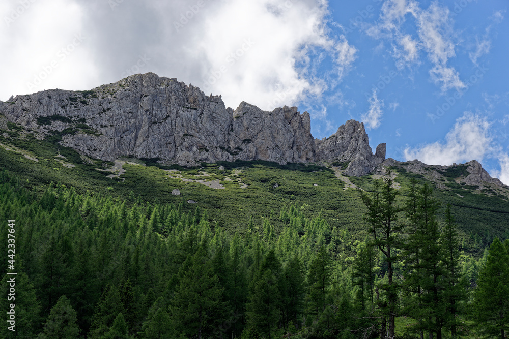 the austrian alps