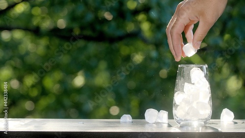 Hand pours many ice cubes into an empty glass. Making drinks outdoors. Glass on the brown organic wooden table with green morning summer trees leaves bokeh background