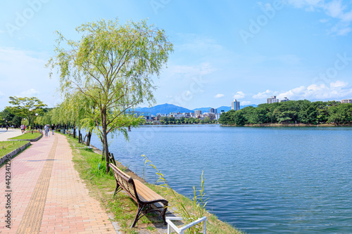 Fototapeta Naklejka Na Ścianę i Meble -  初夏の大濠公園　福岡県福岡市　Ohori Park in early summer Fukuoka-ken Fukuoka city