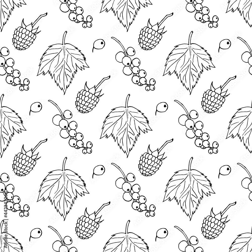 Seamless pattern with black-and-white cute currant and raspberry on white background. Vector image. Seamless pattern with black-and-white cute currant and raspberry on white background. Vector image.
