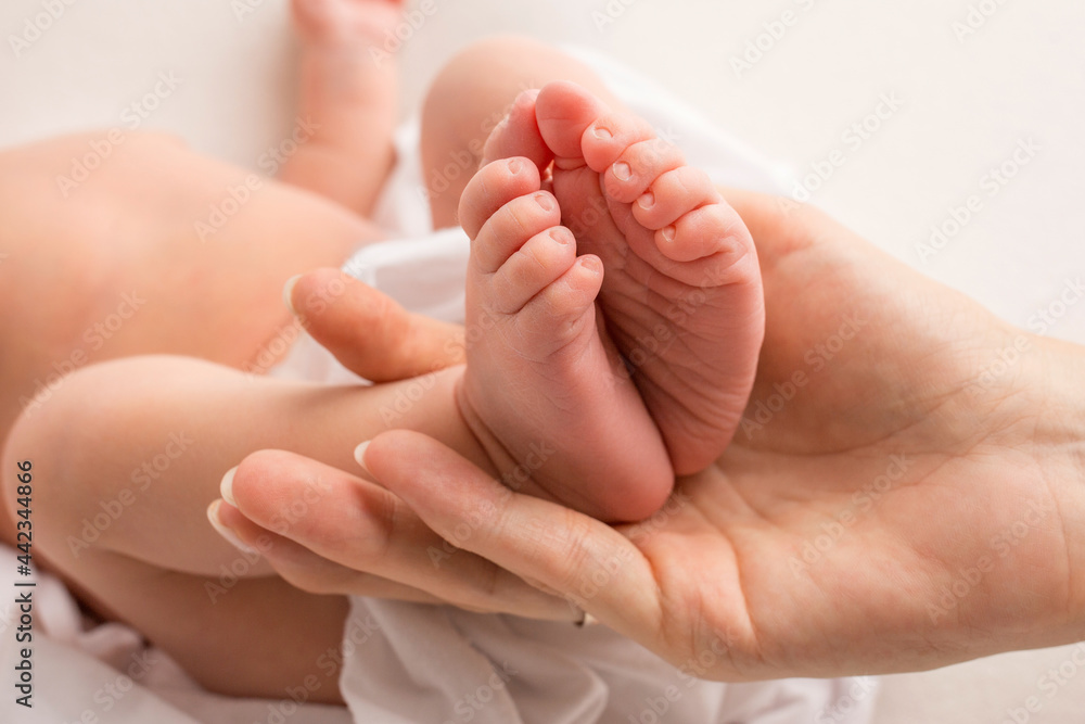 hands of parents. the legs of the newborn in the hands of mom and dad. baby's legs in his hands. hands of parents. the legs of the newborn in the hands of mom and dad. baby's legs in his hands.