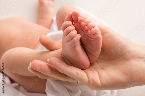 hands of parents. the legs of the newborn in the hands of mom and dad. baby's legs in his hands. 