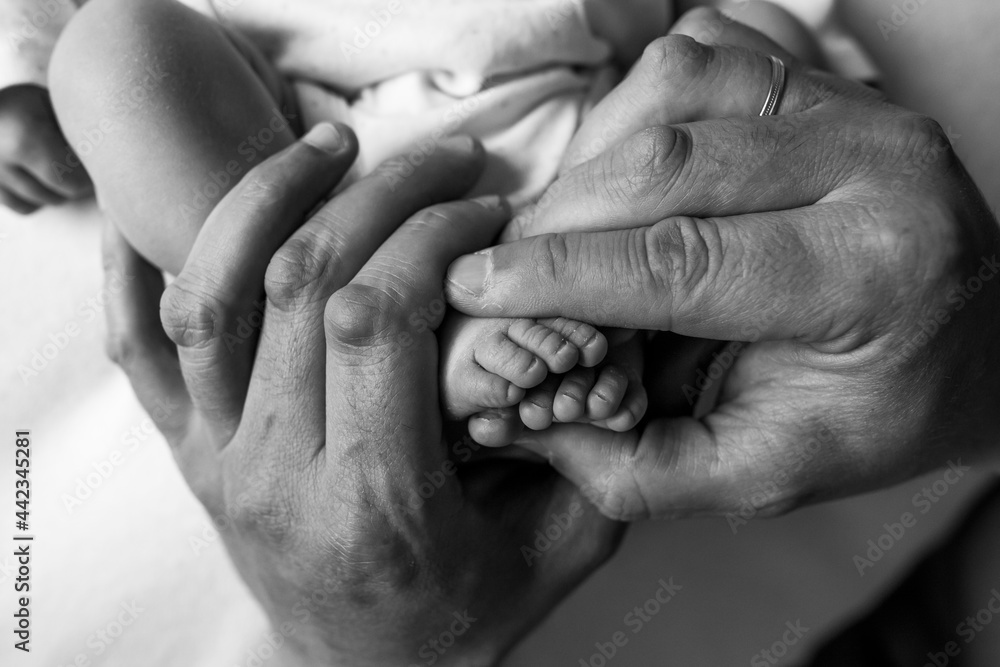 hands of parents. the legs of the newborn in the hands of mom and dad. baby's legs in his hands. black and white pictures hands of parents. the legs of the newborn in the hands of mom and dad. baby's legs in his hands. black and white pictures