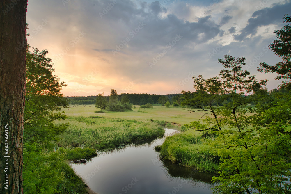 Obraz premium A small and wildly flowing river. 