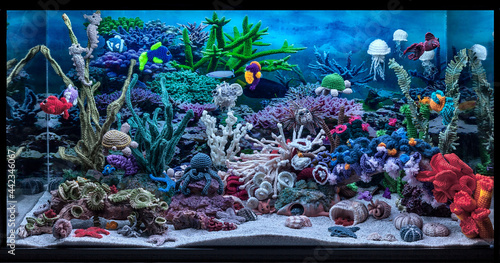 ecological acquarium photo