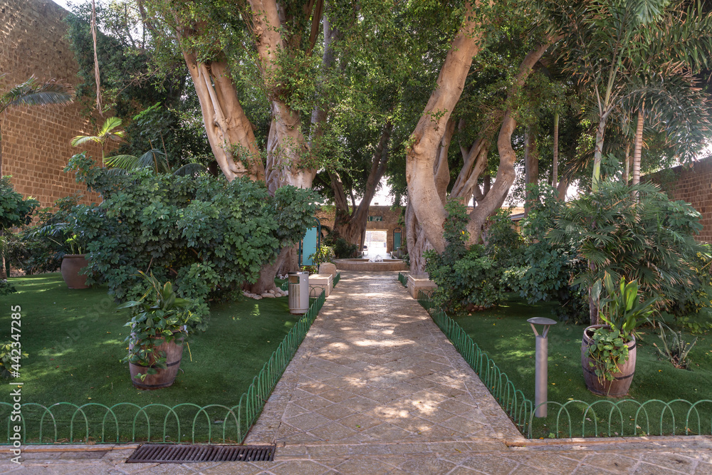 Small botanical garden in the castle courtyard near the museum in the fortress of the old city of Acre in northern Israel