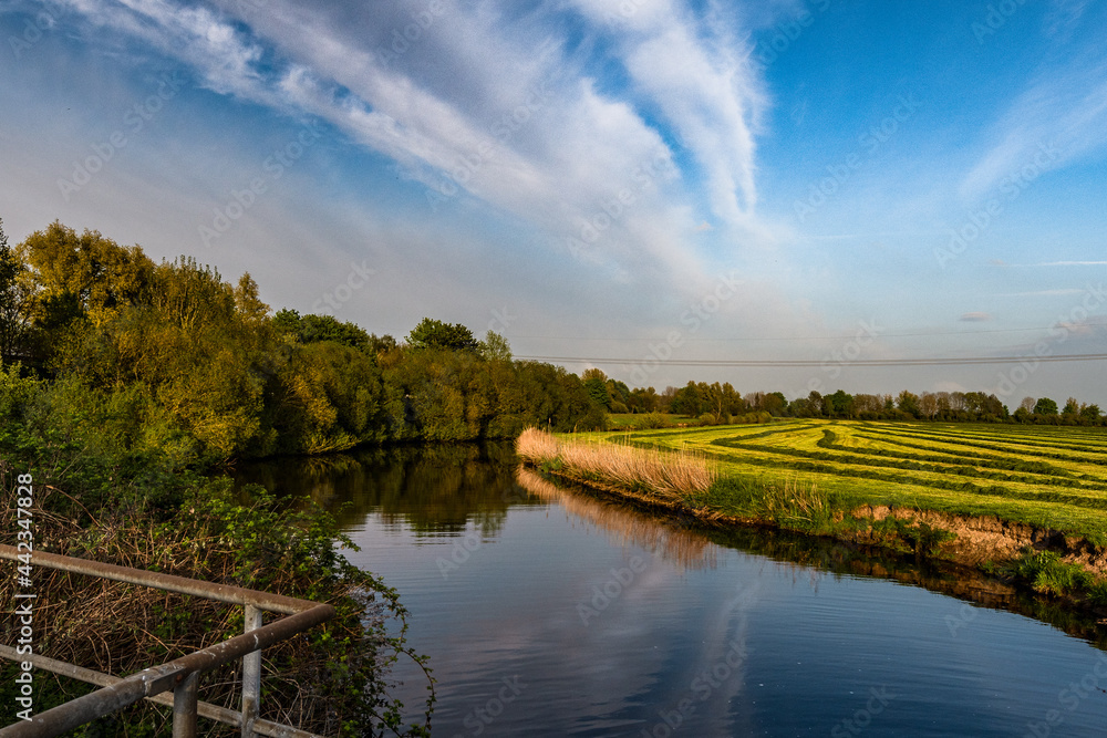 Maisparziergang am Hammedeich Maisparziergang am Hammedeich