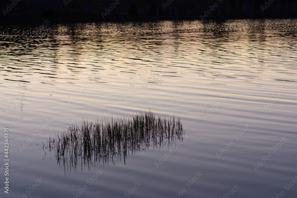 reflection of the sun reflection of the sun