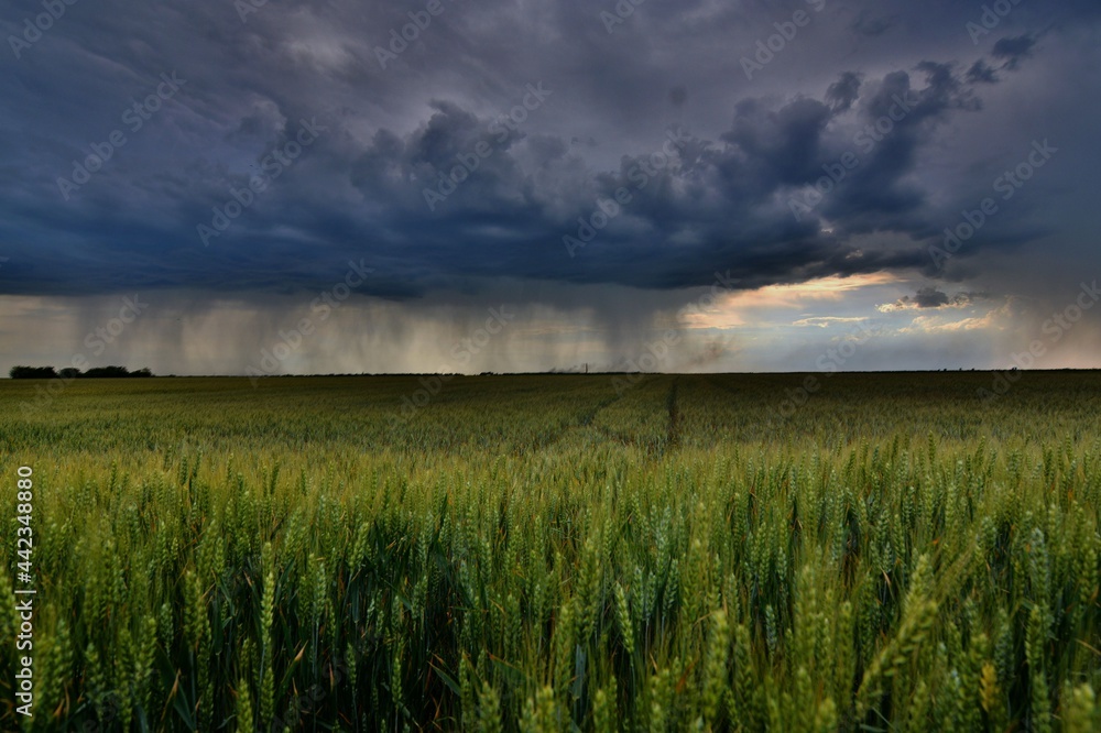 Storm ahead of me,with visible rain showers Storm ahead of me,with visible rain showers