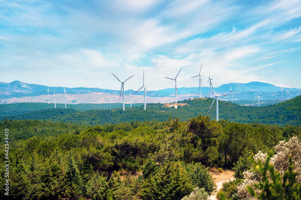 Green meadow field with wind turbines or mills. Environmental conservation Green meadow field with wind turbines or mills. Environmental conservation
