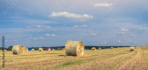 Rural landscape with agriculture field and hay bales in the foreground, as well as with the village in the background.