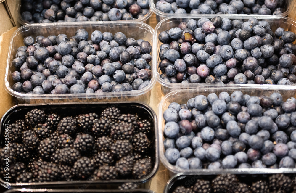 blueberries are sold in the store blueberries are sold in the store