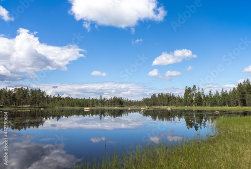 travel sweden and scandinavia, beautiful lake covered with trees and blue sky and white clouds above